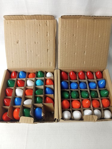 Wintergreen multicolor - c7,
